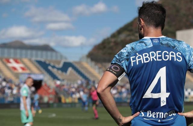 仅展示了中 仅展示了中